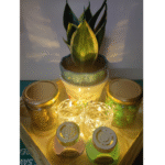 Plant gift hamper 3