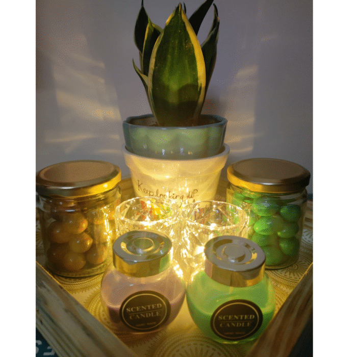 Plant gift hamper 3 - Image 2