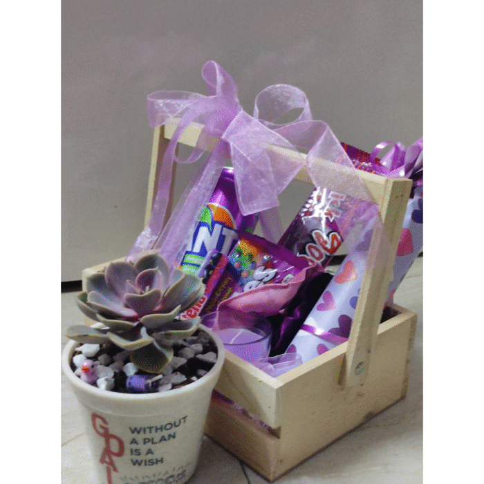 Plant gift hamper 1 - Image 2