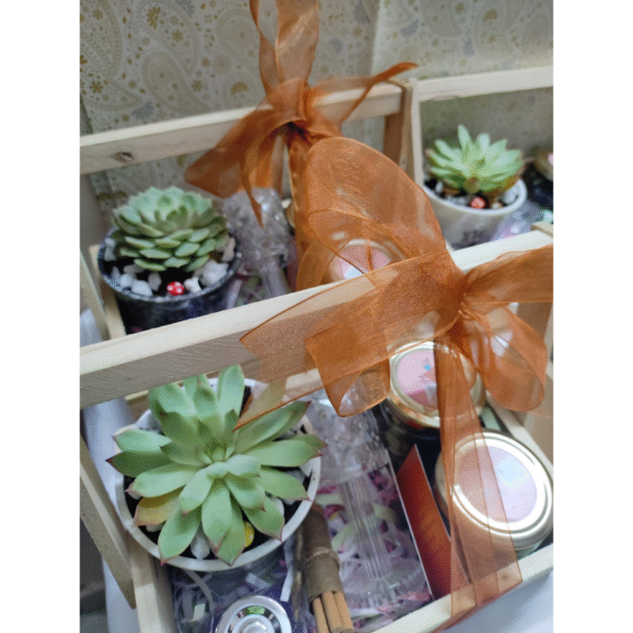 plant gift hamper 2 - Image 3